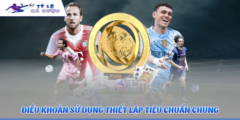 Điều khoản sử dụng thiết lập tiêu chuẩn chung