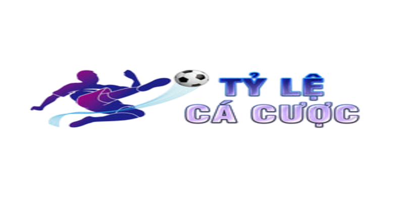 tylecacuocbongda.mobi